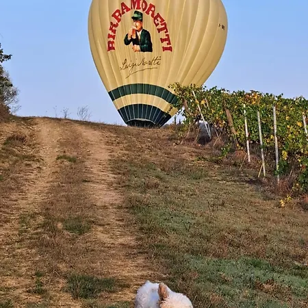Podere Fichereto Tuscany In Florence Countryside * Scandicci