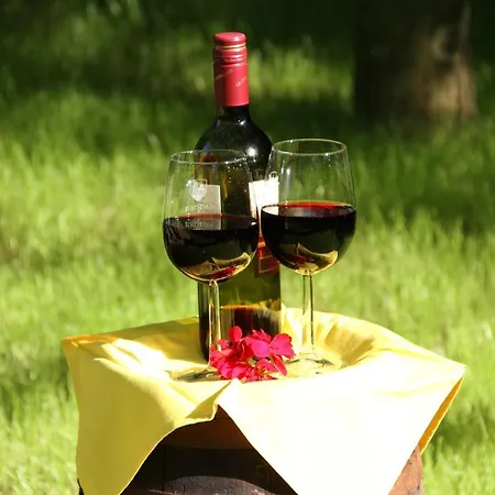 Podere Fichereto Tuscany In Florence Countryside Holiday home *